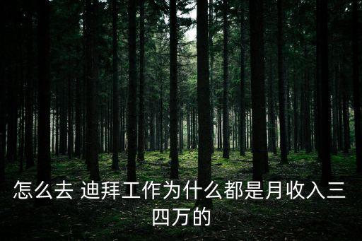 怎么去 迪拜工作為什么都是月收入三四萬的