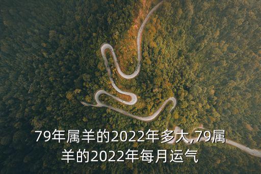 79年屬羊的2022年多大,79屬羊的2022年每月運氣