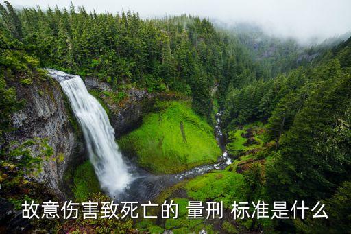 故意殺人罪量刑標(biāo)準(zhǔn),故意傷害量刑參照表