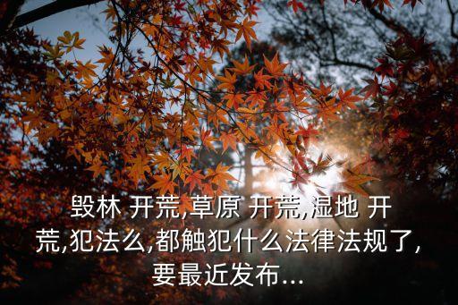  毀林 開荒,草原 開荒,濕地 開荒,犯法么,都觸犯什么法律法規(guī)了,要最近發(fā)布...