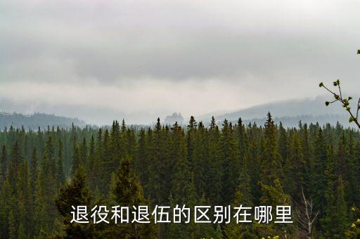 退役