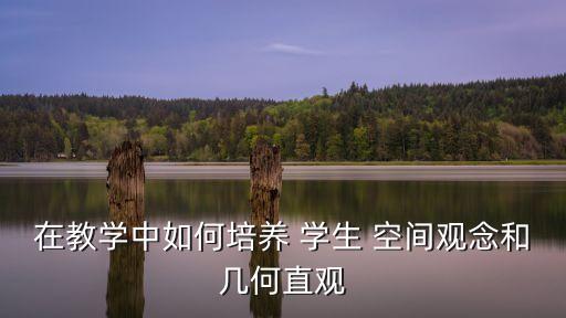 在教學(xué)中如何培養(yǎng) 學(xué)生 空間觀念和幾何直觀