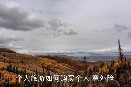 個人旅游如何購買個人 意外險
