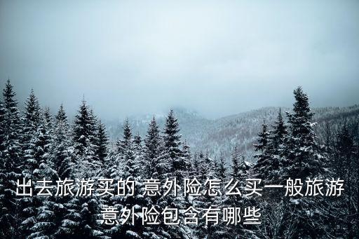 旅行意外險,平安7天旅行意外險