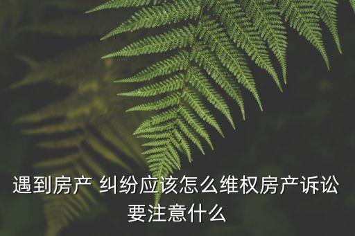 深圳房屋糾紛電視
