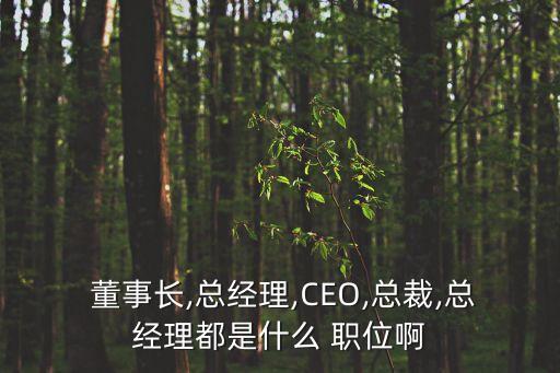 董事長(zhǎng)是什么職位,執(zhí)行董事長(zhǎng)是什么職位