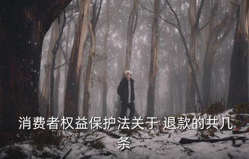  消費者權益保護法關于 退款的共幾條