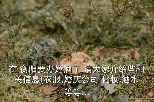 在 衡陽要辦婚酒了,請大家介紹些相關(guān)信息(衣服,婚慶公司,化妝,酒水等等...