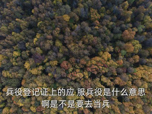 兵役登記證上的應(yīng) 服兵役是什么意思啊是不是要去當(dāng)兵