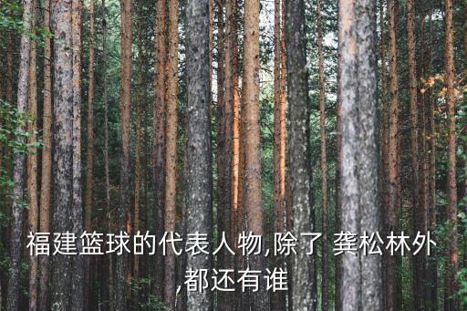 龔松林