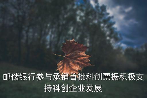 郵儲(chǔ)銀行參與承銷首批科創(chuàng)票據(jù)積極支持科創(chuàng)企業(yè)發(fā)展