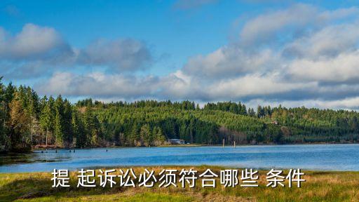 提 起訴訟必須符合哪些 條件