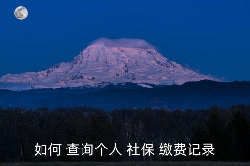 如何 查詢個人 社保 繳費記錄