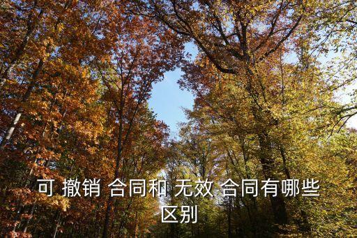 可 撤銷 合同和 無(wú)效 合同有哪些區(qū)別