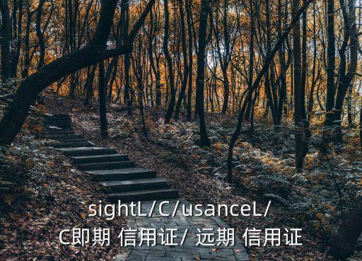 遠(yuǎn)期信用證