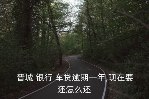  晉城 銀行 車貸逾期一年,現(xiàn)在要還怎么還