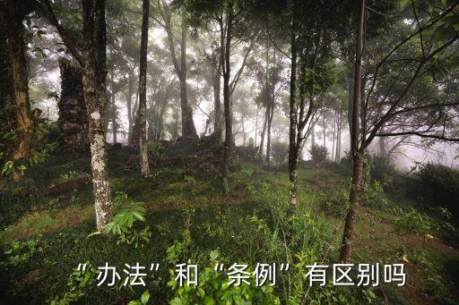辦法是政府規(guī)章嗎,河北省政府規(guī)章制定辦法