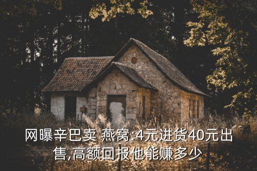 網(wǎng)曝辛巴賣 燕窩:4元進(jìn)貨40元出售,高額回報他能賺多少