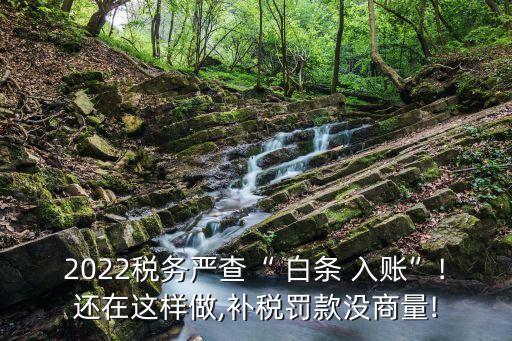 2022稅務(wù)嚴查“ 白條 入賬”!還在這樣做,補稅罰款沒商量!