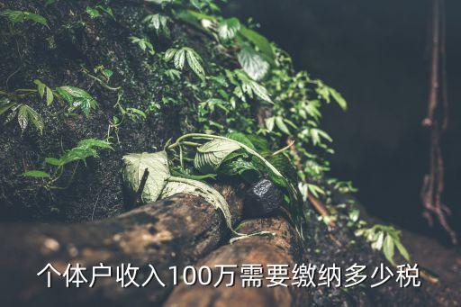 年收入100萬交多少稅,收入多少需要納稅