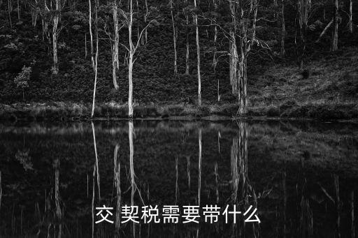 交 契稅需要帶什么