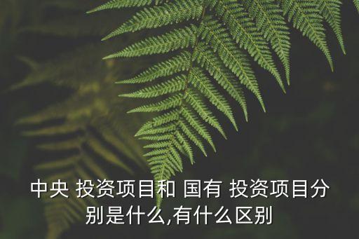 國有資產(chǎn)投資,莆田市國有資產(chǎn)投資