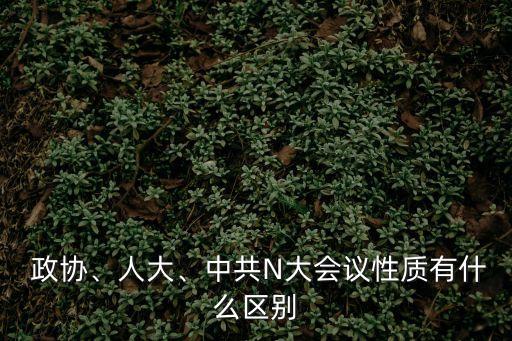  政協(xié)、人大、中共N大會(huì)議性質(zhì)有什么區(qū)別