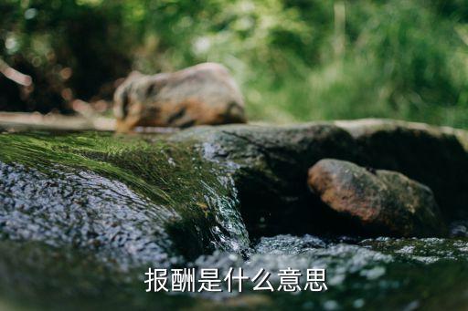報(bào)酬