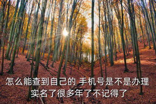 手機(jī)號(hào)碼實(shí)名查詢
