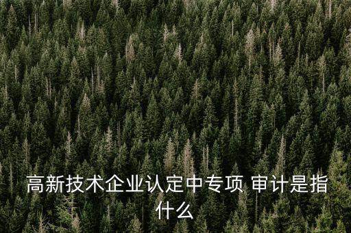  高新技術(shù)企業(yè)認(rèn)定中專項(xiàng) 審計(jì)是指什么