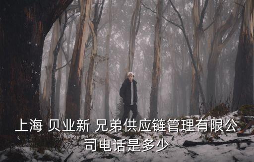上海 貝業(yè)新 兄弟供應(yīng)鏈管理有限公司電話是多少