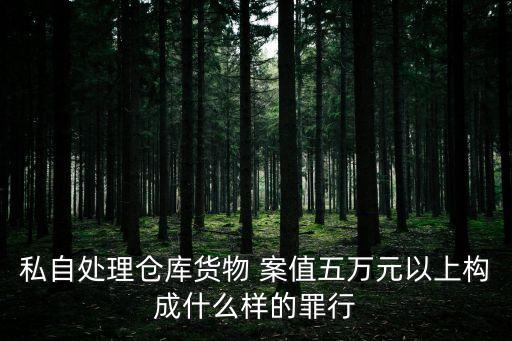 私自處理倉庫貨物 案值五萬元以上構(gòu)成什么樣的罪行