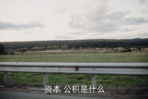  資本 公積是什么