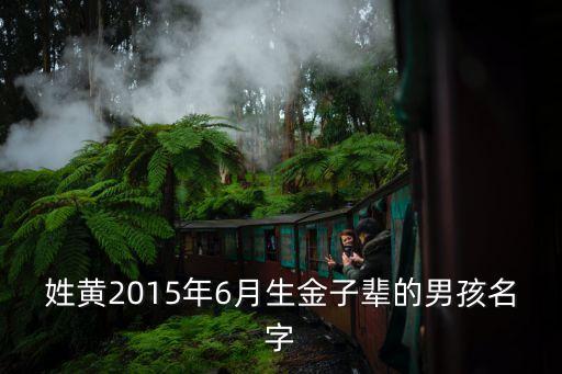 姓黃2015年6月生金子輩的男孩名字