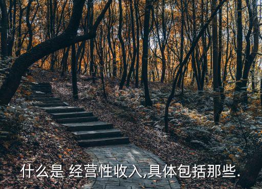 經(jīng)營(yíng)收益,國(guó)有資本經(jīng)營(yíng)收益