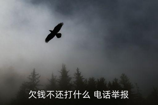欠錢不還打什么 電話舉報