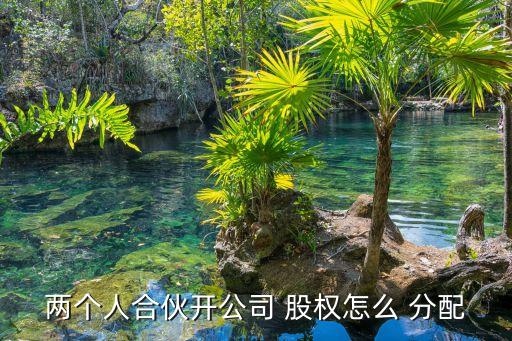 兩個(gè)人合伙開公司 股權(quán)怎么 分配