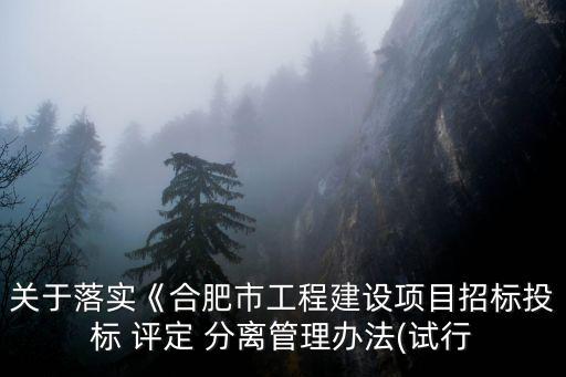 關(guān)于落實(shí)《合肥市工程建設(shè)項(xiàng)目招標(biāo)投標(biāo) 評(píng)定 分離管理辦法(試行