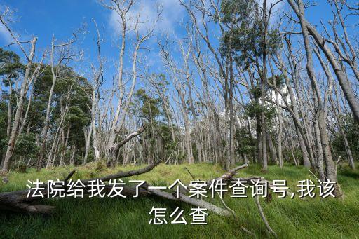 重慶法院公眾服務(wù)網(wǎng)