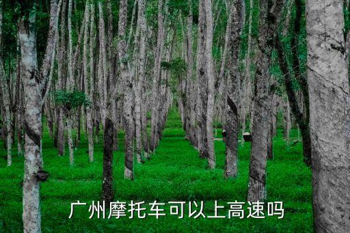 廣州禁摩區(qū)域圖