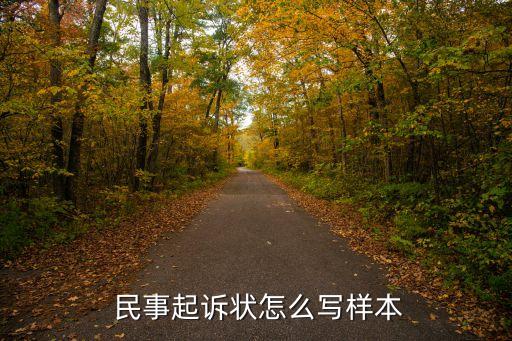 個(gè)人民事訴訟書模板,醫(yī)療糾紛民事訴訟書模板