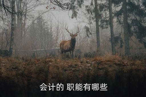  會(huì)計(jì)的 職能有哪些