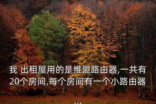 出租屋的交換康