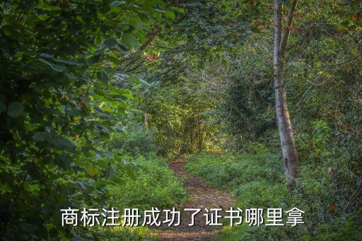 商標(biāo)注冊證