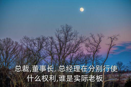  總裁,董事長, 總經理在分別行使什么權利,誰是實際老板