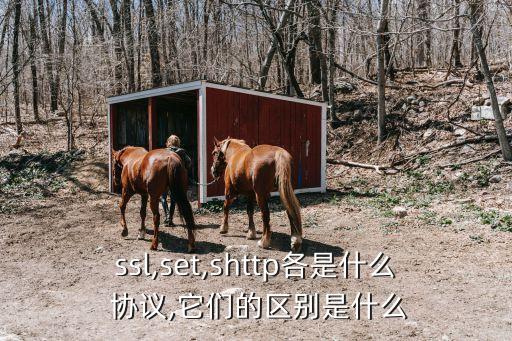 ssl,set,shttp各是什么 協(xié)議,它們的區(qū)別是什么
