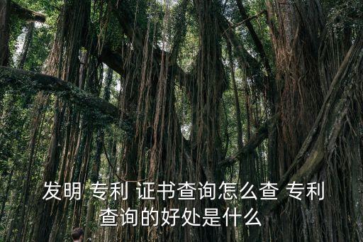  發(fā)明 專利 證書查詢?cè)趺床?專利查詢的好處是什么