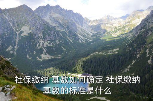  社保繳納 基數(shù)如何確定 社保繳納 基數(shù)的標(biāo)準(zhǔn)是什么