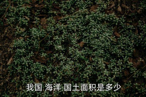  我國(guó) 海洋 國(guó)土面積是多少