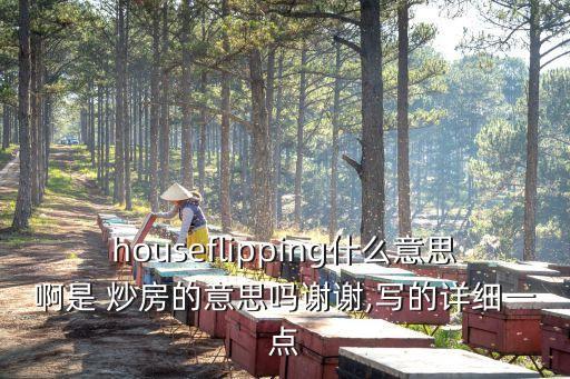 houseflipping什么意思啊是 炒房的意思嗎謝謝,寫的詳細一點